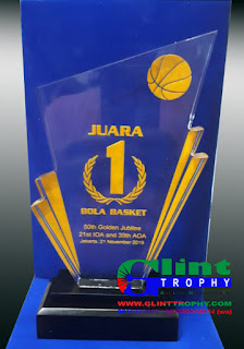 Plakat Akrilik Basket
